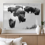 18914414-MGV-FP-36X24-3P_White-Buffalo Herd Wall Art Canvas Print, Framed Black and White Art Picture Print, Snowy Landscape Perfect Rustic Lodge Decor Decor