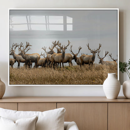 42170220-MGV-FP-36X24-3P_White-Elk Herd Wall Art Canvas Print, Framed Wildlife Photography Art Picture Print, Majestic Antlers Perfect Rustic Wildlife Decor