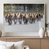 96906195-MGV-FP-36X24-3P_White-Bison Herd Wall Art – American Buffalo Wildlife Photography Canvas Print, Winter Snow Scene Western Nature Decor for Living Room,