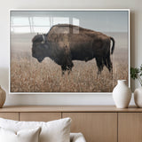 69909079-MGV-FP-36X24-3P_White-Bison Wall Art – Majestic Buffalo Canvas Print in Prairie Grasslands, Rustic Western Animal Painting, Farmhouse Ranch Decor for