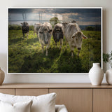 67277447-MGV-FP-36X24-3P_White-Farmhouse Wall Art – Herd of Cows Canvas Print, Rustic Country Pasture Photography Decor for Bedroom, Living Room, Office, Ranch,