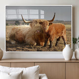 88780-MGV-FP-36X24-3P_White-Highland Cow Wall Art Canvas Print, Framed Cow Calf Art Picture Print, Scottish Cattle Perfect Rustic Farmhouse Decor Artwork
