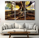 53335-MGV-CV-36X24-Majestic Tree with Sprawling Roots Wall Art – Serene Sunlit Park Scene, Nature Canvas Print, Perfect for Living Room, Office or