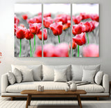 44554-MGV-CV-36X24-Vibrant red tulips stand out beautifully against a black-and-white background, making a striking decor piece perfect for any home