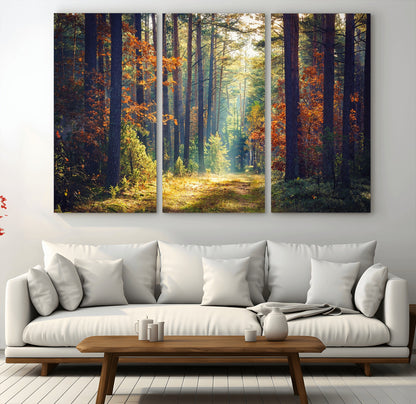 86249-MGV-CV-36X24-Sunlit Autumn Forest Path Wall Art – Peaceful Nature Scene with Fall Foliage, Calming Woods Decor for Home or Office
