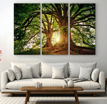 52150-MGV-CV-48X32-3P-Majestic Tree Wall Art – Large Nature Canvas Print with Sunlight Through Branches, Rustic Forest Decor for Living Room, Bedroom or