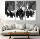 62434-MGV-CV-48X32-3P-Bison Herd Wall Art – Majestic Black and White Buffalo Canvas Print, Wildlife Nature Photography Decor for Living Room, Office or