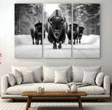 45287-MGV-CV-36X24-Bison Herd Wall Art – Black and White Buffalo Snow Road Canvas Print, Rustic Wildlife Decor for Cabin, Lodge or Living Room