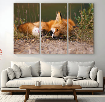 25085-MGV-CV-48X32-3P-Sleeping Fox Wall Art Canvas Print, Framed Rustic Fox Art Picture Print, Wildlife Animal Perfect Rustic Farmhouse Decor Artwork