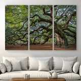 MGV-CV-48X32-3P - Historic Tree Wall Art Canvas Print, Framed Mossy Tree Art Picture Print, Twisted Branches Perfect Nature Southern Decor Artwork