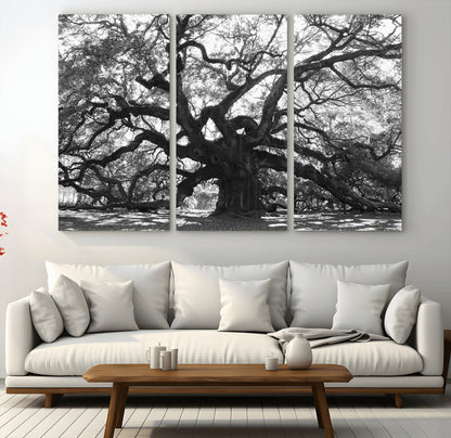 81655611-MGV-CV-36X24-Ancient Oak Wall Art Canvas Print, Framed Twisted Branches Art Picture Print, Gnarled Tree Perfect Moody Nature Decor Artwork