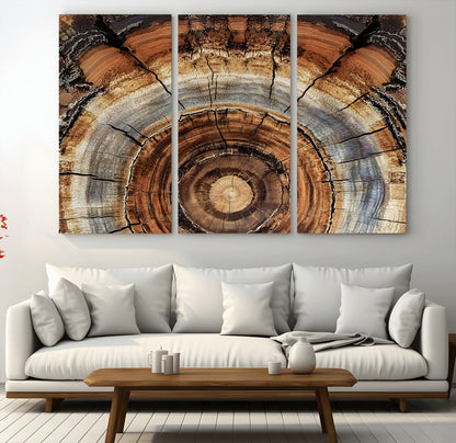 15184146-MGV-CV-48X32-3P-Tree Rings Wall Art Canvas Print, Framed Wood Texture Art Picture Print, Rustic Pattern Perfect Rustic Organic Decor Artwork