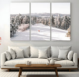 62119206-MGV-CV-36X24-Snowy Trail Wall Art Canvas Print, Framed Ski Slope Art Picture Print, Winter Pines Perfect Alpine Adventure Decor Artwork