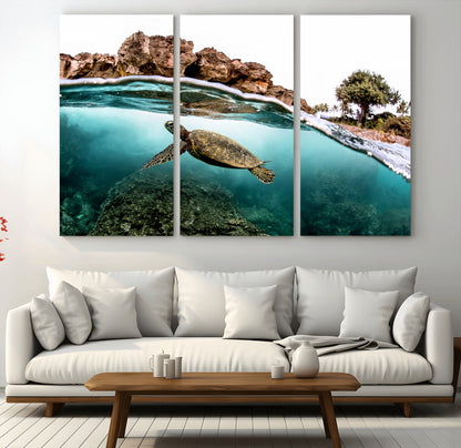 44200301-MGV-CV-36X24-Sea Turtle Swim Wall Art Canvas Print, Framed Ocean Life Art Picture Print, Tropical Shoreline Perfect Tropical Coastal Decor