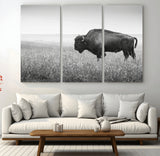 28435251-MGV-CV-48X32-3P-Bison In Prairie Wall Art Canvas Print, Framed Rustic Wildlife Art Picture Print, Wild Buffalo Perfect Rustic Western Decor