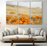 28972262-MGV-CV-48X32-3P-Golden Wildflowers Wall Art Canvas Print, Framed Hills Bloom Art Picture Print, Poppy Meadow Perfect Rustic Nature Decor Artwork