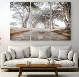 87090469-MGV-CV-48X32-3P-Cypress Tunnel Wall Art Canvas Print, Framed Misty Road Art Picture Print, Foggy Trees Perfect Rustic Woodland Decor Artwork