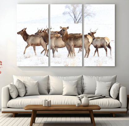 68738684-MGV-CV-48X32-3P-Winter Elk Scene Wall Art Canvas Print, Framed Wildlife Photography Art Picture Print, Snowy Deer Decor Perfect Rustic Lodge Decor