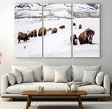 13891210-MGV-CV-36X24-Bison Herd Scene Wall Art Canvas Print, Framed Western Wildlife Decor Art Picture Print, Snowy Mountain Valley Perfect Rustic