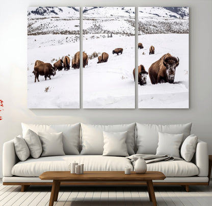 13891210-MGV-CV-36X24-Bison Herd Scene Wall Art Canvas Print, Framed Western Wildlife Decor Art Picture Print, Snowy Mountain Valley Perfect Rustic