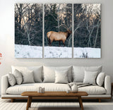 36533178-MGV-CV-36X24-Wild Elk Photography Wall Art Canvas Print, Framed Winter Wildlife Art Picture Print, Snowy Forest Perfect Rustic Lodge Decor