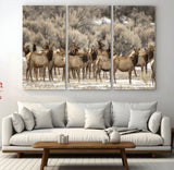 93076148-MGV-CV-36X24-Elk Herd Wall Art – Wildlife Canvas Print of Elk in Winter Landscape, Rustic Western Cabin & Lodge Décor, Nature Photography for