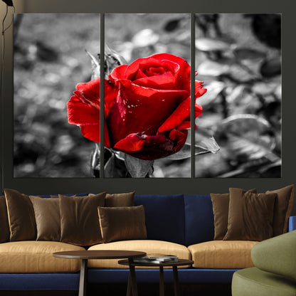 84671-MGV-CV-36X24-Red Rose Wall Art – Vibrant Single Bloom Canvas Print with Black and White Background, Elegant Floral Decor for Living Room,
