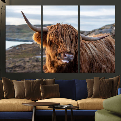 71222-MGV-CV-36X24-A playful Highland cow with shaggy fur sticks out its tongue, set against a rugged landscape — perfect for quirky home or office