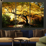 19067-MGV-CV-36X24-Golden Canopy Wall Art – Panoramic Autumn Tree Canvas Print, Warm Seasonal Decor for Living Room, Office or Garden Space