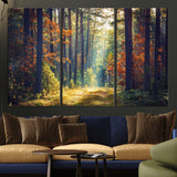 86249-MGV-CV-36X24-Sunlit Autumn Forest Path Wall Art – Peaceful Nature Scene with Fall Foliage, Calming Woods Decor for Home or Office