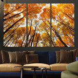 11823-MGV-CV-48X32-3P-Golden Autumn Tree Canopy Wall Art – Stunning Fall Forest Leaves Print, Warm Seasonal Nature Decor for Home, Office or Cabin