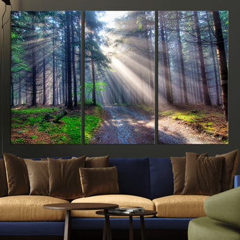 42047-MGV-CV-36X24-Sunlit Forest Path Wall Art – Nature Canvas Print, Serene Woodland Landscape, Perfect Home & Office Decor for Calm and Tranquil