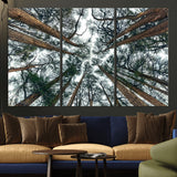 18790-MGV-CV-36X24-Pine Canopy Wall Art – Panoramic View of Towering Pines Canvas Print, Nature-Inspired Decor for Office, Cabin or Living Room