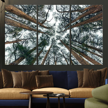18790-MGV-CV-36X24-Pine Canopy Wall Art – Panoramic View of Towering Pines Canvas Print, Nature-Inspired Decor for Office, Cabin or Living Room