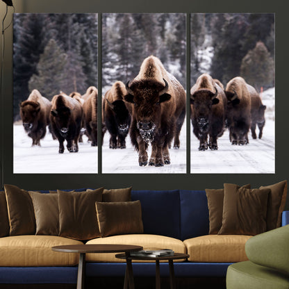 66871-MGV-CV-36X24-Bison Herd Wall Art – Wildlife Buffalo Canvas Print, Rustic Western Nature Photography Decor for Living Room, Office, Cabin, or