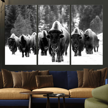 62434-MGV-CV-36X24-Bison Herd Wall Art – Majestic Black and White Buffalo Canvas Print, Wildlife Nature Photography Decor for Living Room, Office or