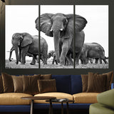 91685-MGV-CV-36X24-Elephant Herd Wall Art – Black and White Safari Canvas Print, African Wildlife Photography Decor for Living Room, Office or