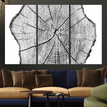 98709-MGV-CV-36X24-Tree Ring Wall Art – Black and White Canvas Print Rustic Wood Cross Section, Minimal Nature Inspired Decor for Living Room,