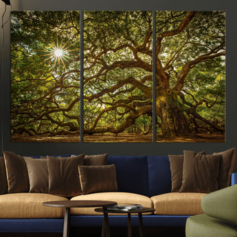 57983-MGV-CV-36X24-Angel Oak Tree Wall Art Canvas Print, Framed Oak Tree Art Picture Print, Angel Oak Perfect Rustic Nature Decor Artwork