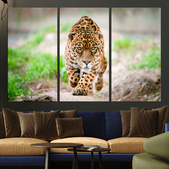 75066-MGV-CV-36X24-Leopard Wall Art Canvas Print, Framed Wild Animal Art Picture Print, Blue Eye Leopard Perfect Wild Minimal Decor Artwork