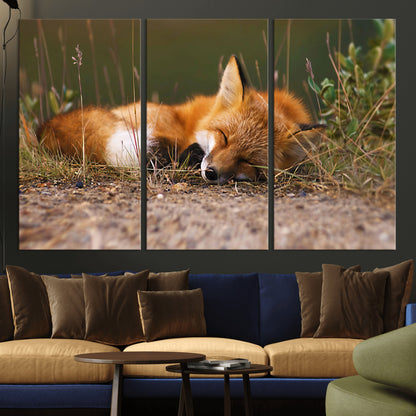 25085-MGV-CV-36X24-Sleeping Fox Wall Art Canvas Print, Framed Rustic Fox Art Picture Print, Wildlife Animal Perfect Rustic Farmhouse Decor Artwork
