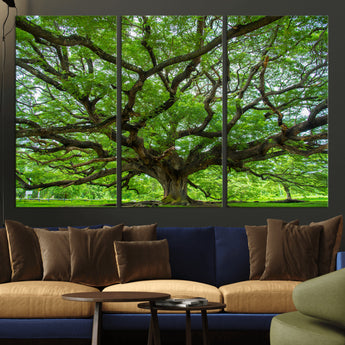 49375306-MGV-CV-36X24-Ancient Tree Wall Art Canvas Print, Framed Sprawling Branches Art Picture Print, Gnarling Tree Perfect Earthy Natural Decor