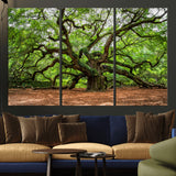 51255351-MGV-CV-36X24-Ancient Tree Wall Art – Majestic Oak Canvas Print, Large Nature Photography, Sacred Forest Landscape Wall Décor, Wisdom Tree