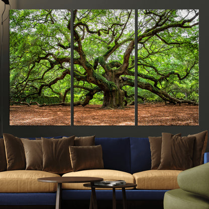 51255351-MGV-CV-36X24-Ancient Tree Wall Art – Majestic Oak Canvas Print, Large Nature Photography, Sacred Forest Landscape Wall Décor, Wisdom Tree