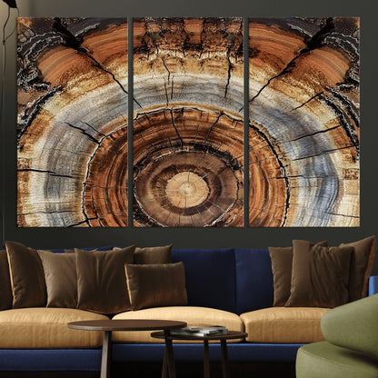 15184146-MGV-CV-36X24-Tree Rings Wall Art Canvas Print, Framed Wood Texture Art Picture Print, Rustic Pattern Perfect Rustic Organic Decor Artwork