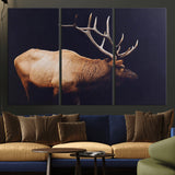 89239257-MGV-CV-36X24-Bull Elk Decor Wall Art Canvas Print, Framed Elk Photography Art Picture Print, Rustic Wildlife Perfect Rustic Lodge Decor Artwork
