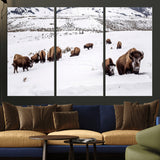 13891210-MGV-CV-36X24-Bison Herd Scene Wall Art Canvas Print, Framed Western Wildlife Decor Art Picture Print, Snowy Mountain Valley Perfect Rustic
