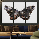 99831147-MGV-CV-48X32-3P-Spotted Butterfly Wall Art Canvas Print, Framed Neutral Insect Theme Art Picture Print, Earthy Wing Pattern Perfect Modern Rustic