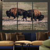 58141885-MGV-CV-36X24-Bison Photography Wall Art Canvas Print, Framed Western Wildlife Art Picture Print, Modern Ranch Perfect Western Rustic Decor