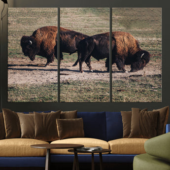 58141885-MGV-CV-36X24-Bison Photography Wall Art Canvas Print, Framed Western Wildlife Art Picture Print, Modern Ranch Perfect Western Rustic Decor